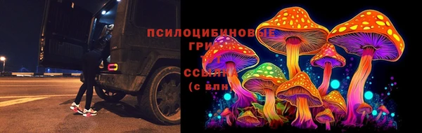 шишки Богданович